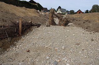 Holz im Flussbett