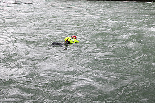 Eine Person schwimmt mit einer automatisch ausgelösten Rettungsweste in der Strömung eines Flusses während einer Wasserrettungsübung.