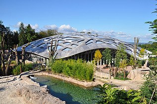 Foto vom Elefantenpark Zoo Zürich