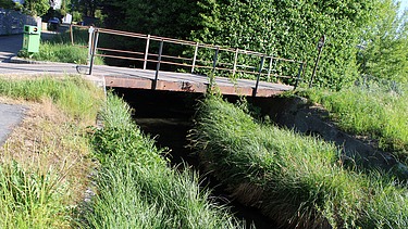 Alter Mühlebachtych mit Brückenübergang und viel grünem Wildwuchs