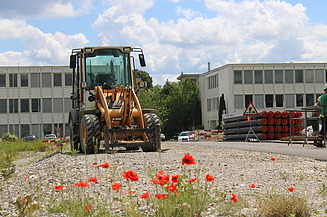 Bagger, Mohnlblumen bei der Baustelle Weitblick Nord