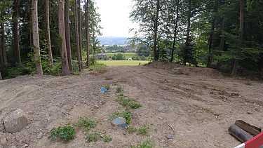 Schneise im Wald unter der die bestehenden und neuen Wasserleitungen in die beteiligten Gemeinden führt