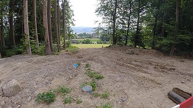 Schneise im Wald unter der die bestehenden und neuen Wasserleitungen in die beteiligten Gemeinden führt