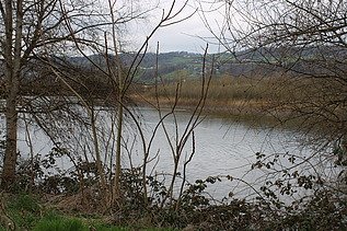 Blick auf den Schlammweiher Bürglen