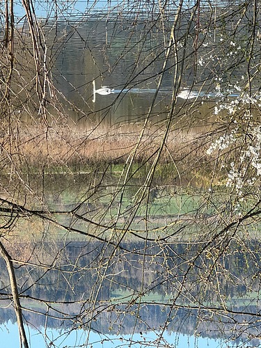 Ansicht Schlammweiher