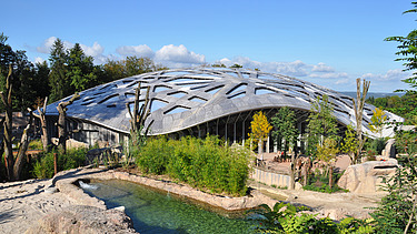 Foto vom Elefantenpark Zoo Zürich