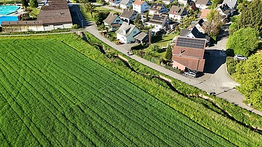 Drohnenaufnahme vom alten Mühletychbach neben einem grünen Feld.