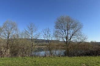 Sicht auf den Schlammweiher mit Bäumen vorne dran, leicht versteckt.