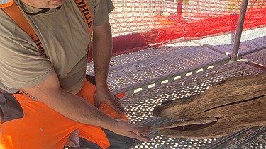STRABAG Zimmermann zeigt Holzstück welches einem Krokodil gleicht.