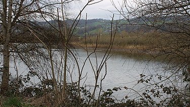 Blick auf den Schlammweiher Bürglen