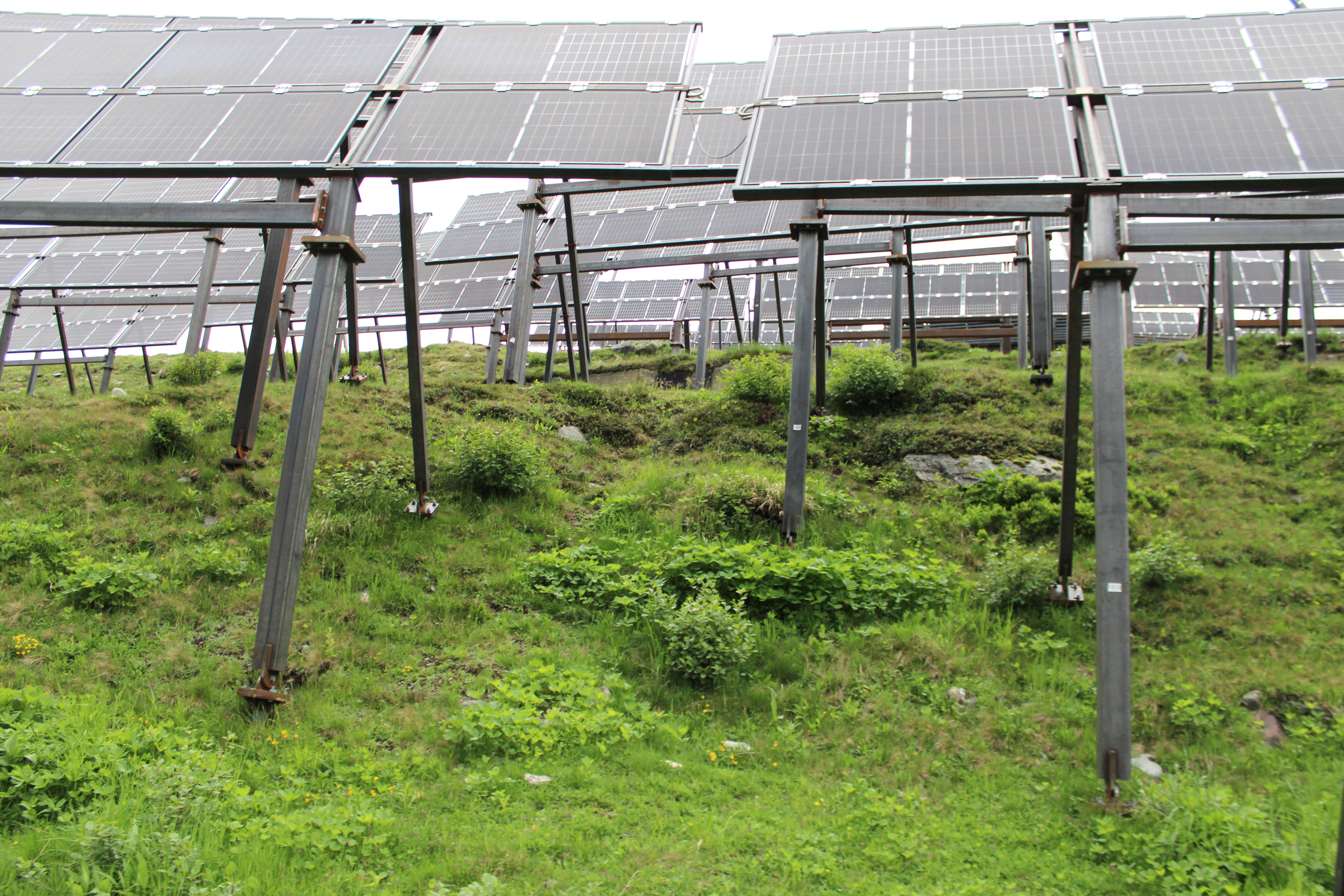 Solartisch mit Solarpanel in einer wiedererwachten säftig grünen Landschaft verbaut.