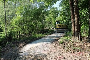 Ein gelber Bagger von STRAGAG steht auf einem geschotterten Waldweg, umgeben von dichten grünen Bäumen und Sträuchern.