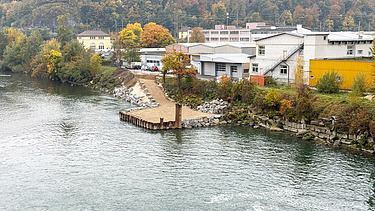 Ufer der Aare