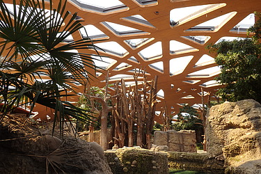 Innenaufnahme eines Gebäudes mit einer Dachkonstruktion aus Holz und Glas. Sonnenlicht fällt durch die Holzbalken, umgeben von grossen Felsen und tropischen Pflanzen.