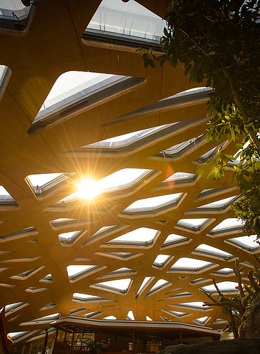 Innenaufnahme eines Gebäudes mit futuristischer Dachkonstruktion aus Holz und Glas, durch die Sonnenlicht einfällt, umgeben von Pflanzen.