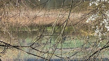 Ansicht Schlammweiher