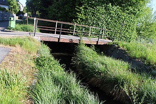 Alter Mühlebachtych mit Brückenübergang und viel grünem Wildwuchs