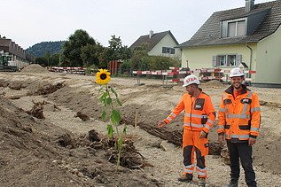 Polier und Bauführer im Flussbett neben Sonnenblume
