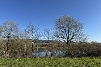 Sicht auf den Schlammweiher mit Bäumen vorne dran und einem blauen Himmel.