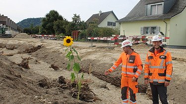 Polier und Bauführer im Flussbett neben Sonnenblume